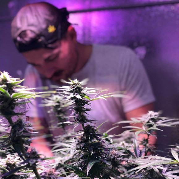 Meet your Posher, Joseph - Picture 1 of 1